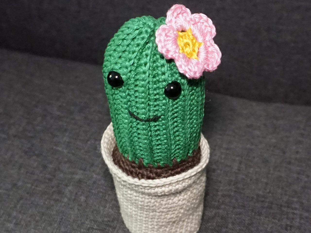 Häkelanleitung für den Kaktus mit Blüte