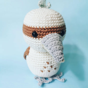 Chia the Kookaburra