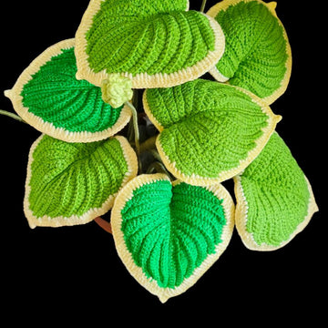 Crochet Hosta plant