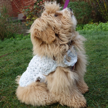 Banff Dog Jacket