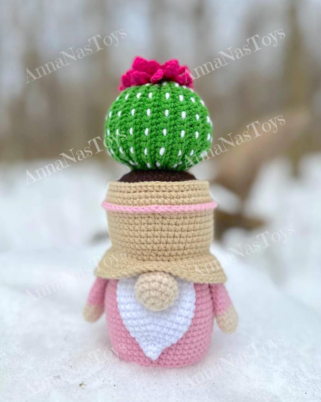 Gnome-cactus in a pot 5