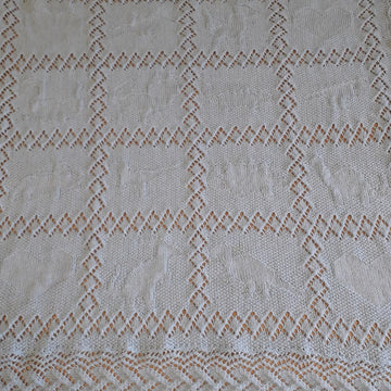 Dinosaur baby shawl