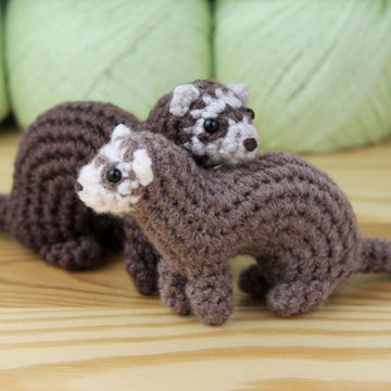Little ferret