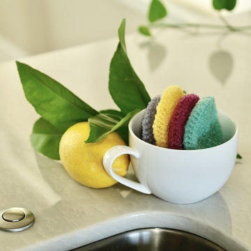 Kitchen Scrubbies