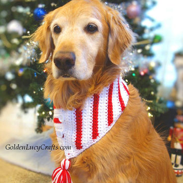Christmas Dog Scarf, Candy Cane Scarf