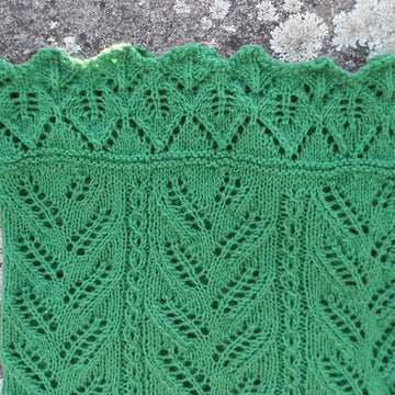 The Enchanted Fern Neck Cozy