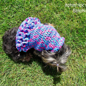 Ruffled Small Dog Sweater