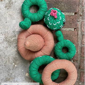 Cactus Stacking Ring Toy