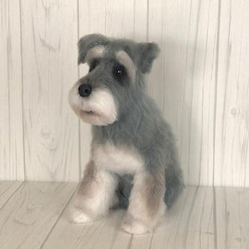 Mini Schnauzer
