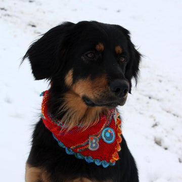 Bonny-Scarf