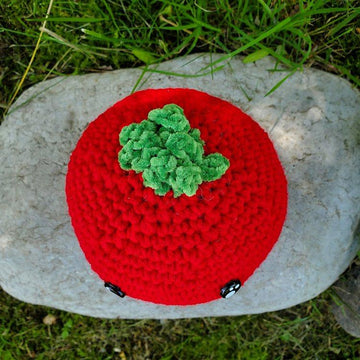 Shy Tomato Plushie
