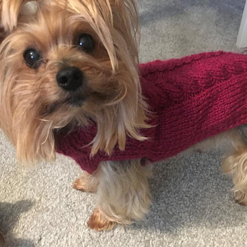 Fall Cabled Dog Sweater