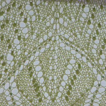 Back to the Garden Shawl