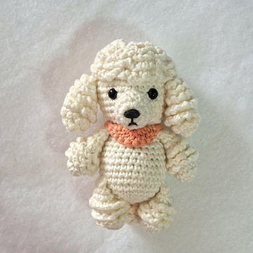Poodle Dog