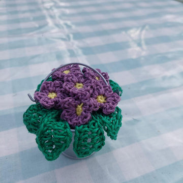 African violet