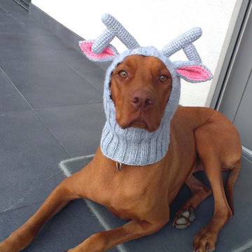 Reindeer Dog Hat with a Tassel