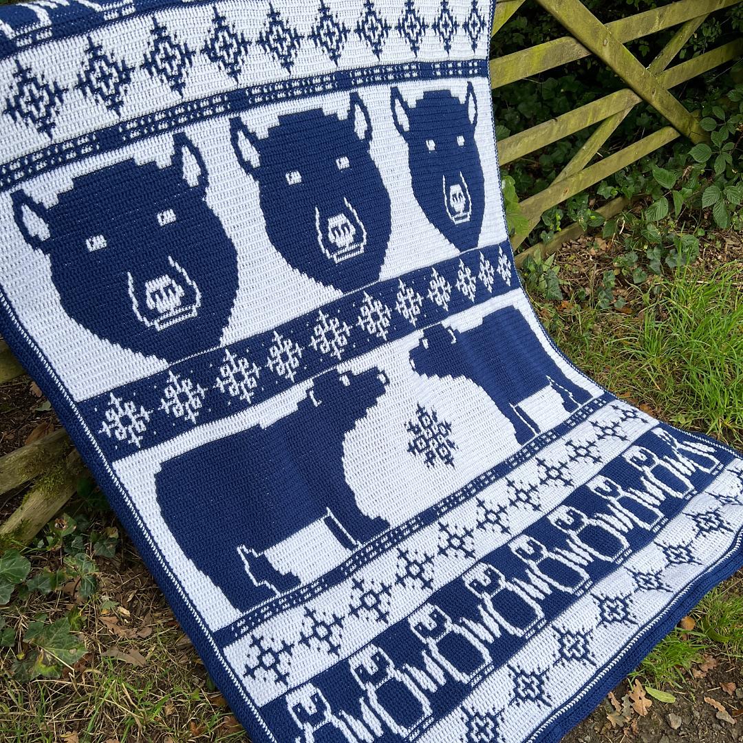 Pole to Pole Mosaic Blanket