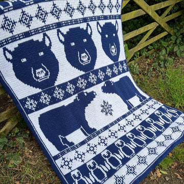 Pole to Pole Mosaic Blanket