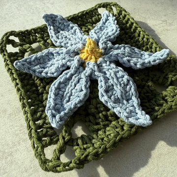 Stiff Blue-eyed Grass Flower Granny Square