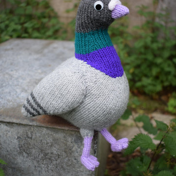 Paul the Pigeon
