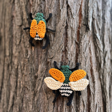 Japanese Beetle