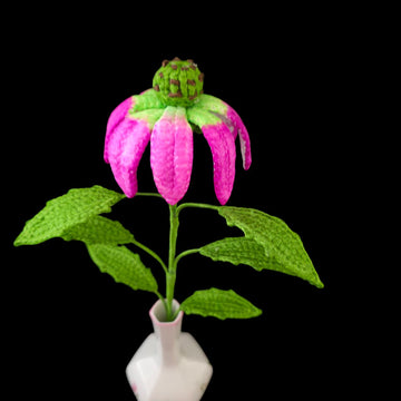 Crochet Echinacea/Cone flowers