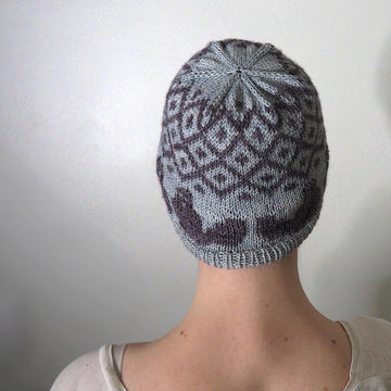Beaver Hat