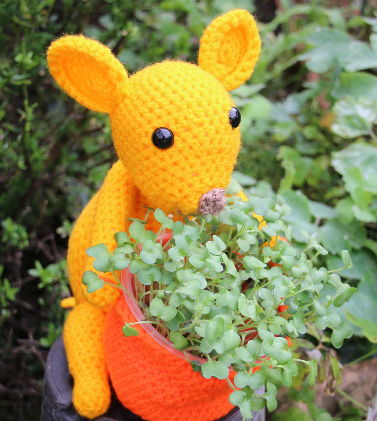 Mouse Plant Holder