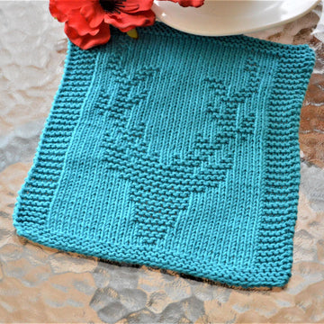Dishcloth6