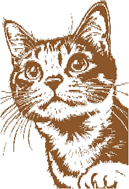 Overlay Mosaic "CURIOSITY (smaller)"