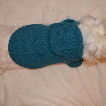 Sport hoodie clothes for dog