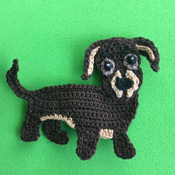 Dachshund