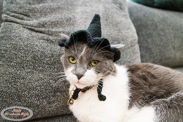 Cat's Witch Hat