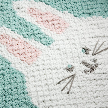 Bunny C2C Graphgan