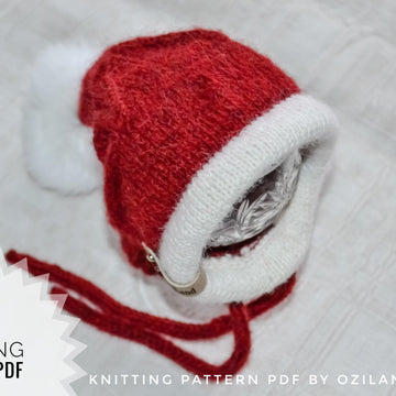 Santa dog hat