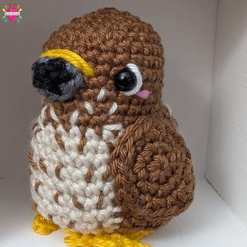 Pocket Birds of Prey