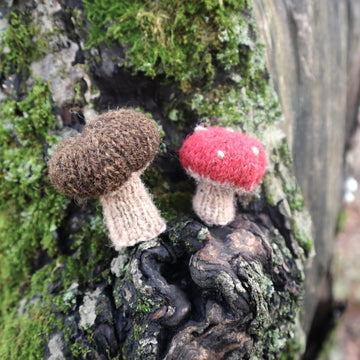 Wee mushroom