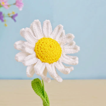 Daisy Flower