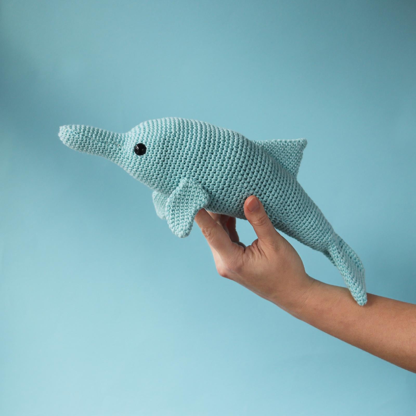 Darcey The Dolphin