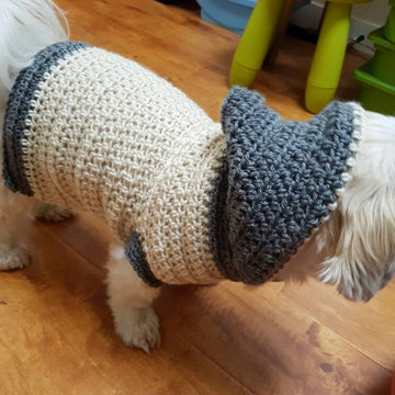 Lou Lou Easy Crochet Dog Hoodie