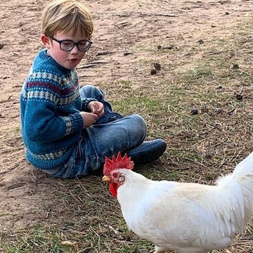 The Chicken Tamer