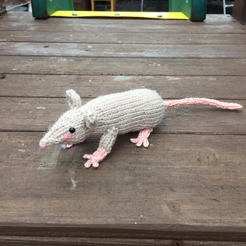 Raymond the Rat