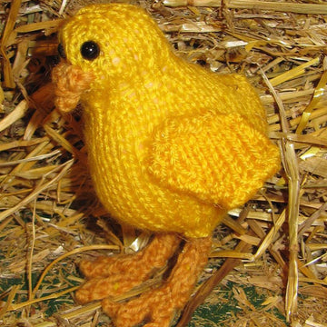 Baby Easter Chick