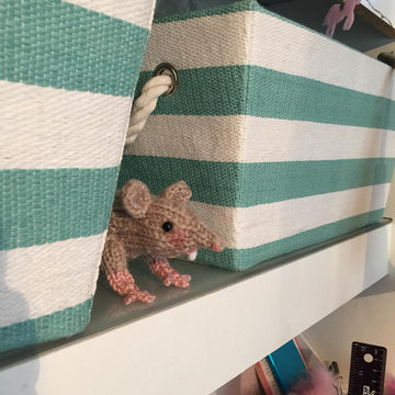 Raymond the Rat