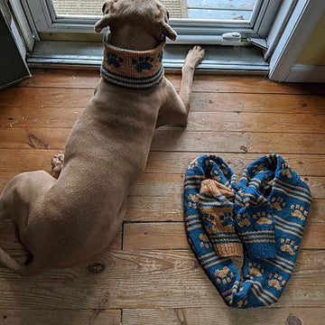 Paw-some Dog Cowl + Paw-some Infinity Scarf