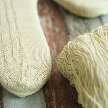 Roger Sock