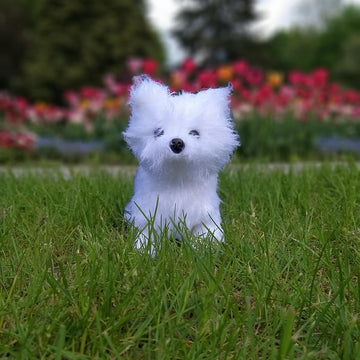 Realistic Dog Spitz