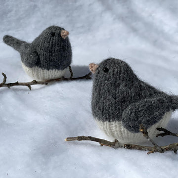 Snowbird