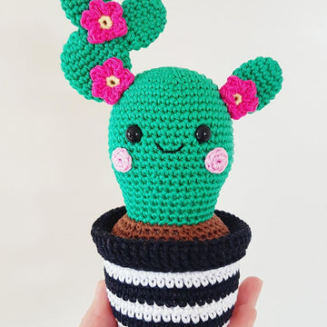 Cactus Friends