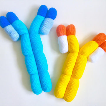 Giant Antibodies (IgG and IgE)